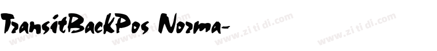TransitBackPos Norma字体转换